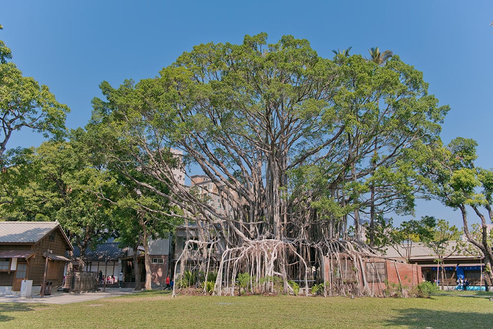 國家漫畫博物館